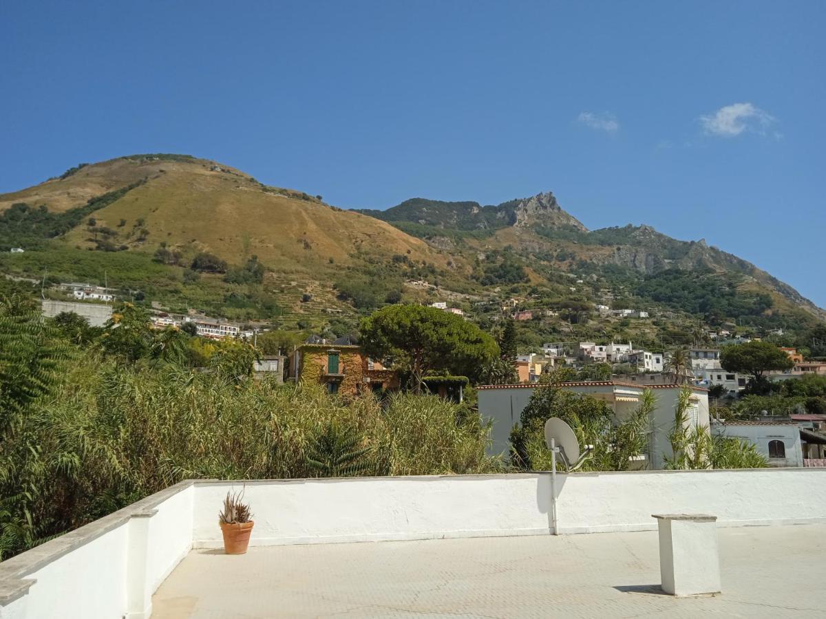Villa Thomas Bb Conduzione Familiare Forio di Ischia Dış mekan fotoğraf