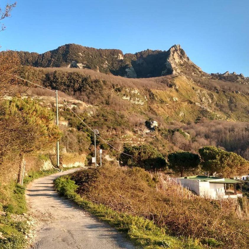 Villa Thomas Bb Conduzione Familiare Forio di Ischia Dış mekan fotoğraf