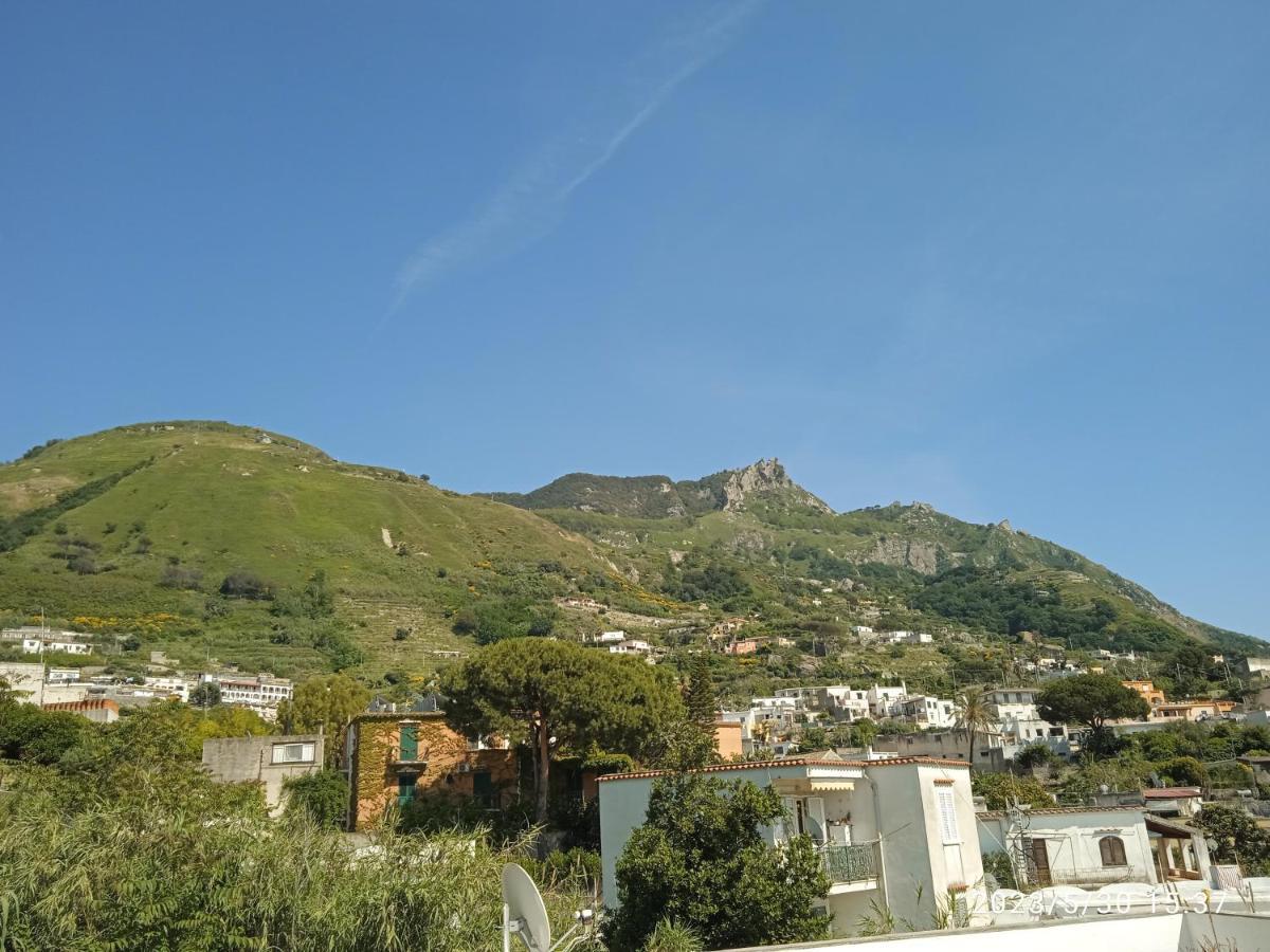 Villa Thomas Bb Conduzione Familiare Forio di Ischia Dış mekan fotoğraf