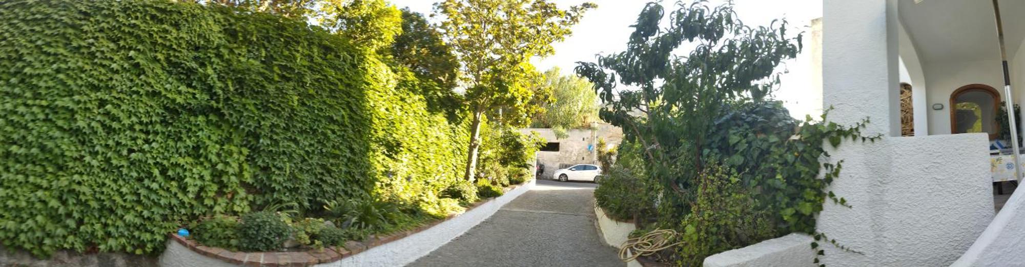 Villa Thomas Bb Conduzione Familiare Forio di Ischia Dış mekan fotoğraf
