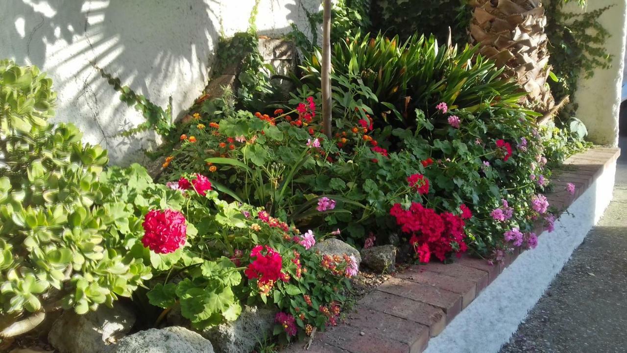 Villa Thomas Bb Conduzione Familiare Forio di Ischia Dış mekan fotoğraf